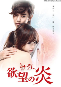 欲望の炎 DVD-BOX Amazon.co.jp: 欲望の炎 DVD-BOX 1 : シン・ウンギョン, ユ
